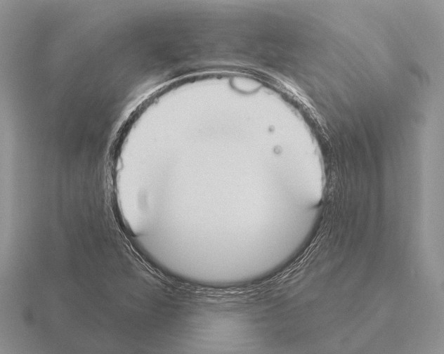 X0000115431360200912161425