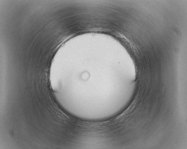 X0000115431361200912161425