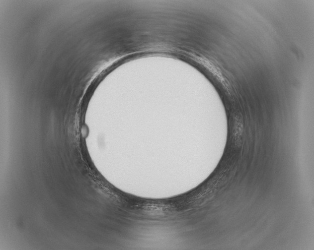 X0000115431364200912161425