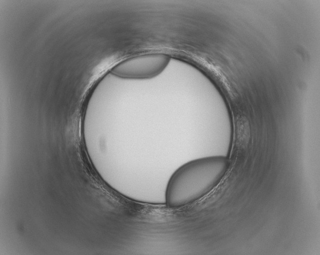 X0000115431365200912161425