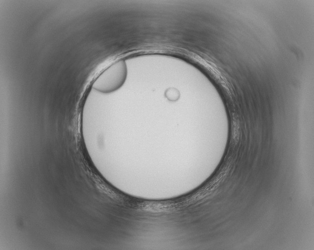 X0000115431366200912161425