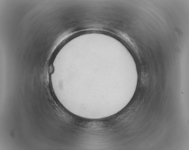 X0000115431368200912161425