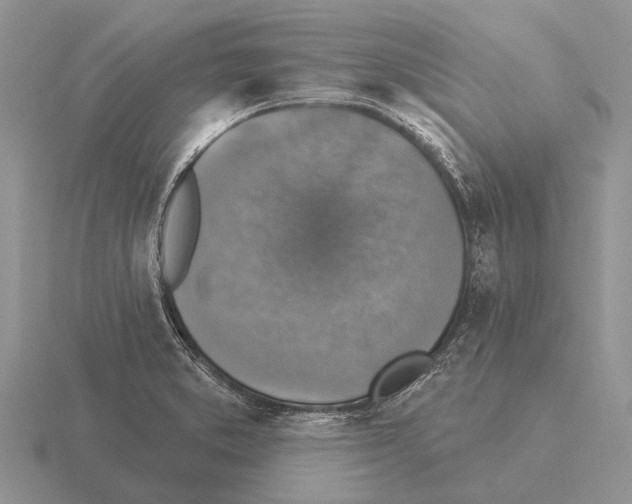 X0000115431373200912161425