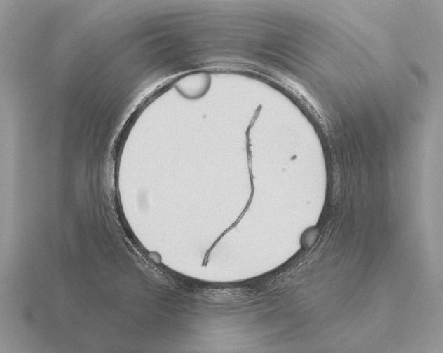 X0000115431376200912161425