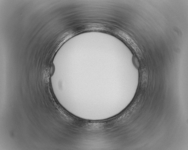 X0000115431377200912161425