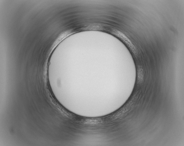 X0000115431378200912161425