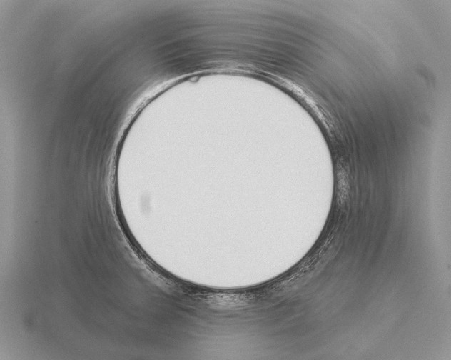 X0000115431379200912161425