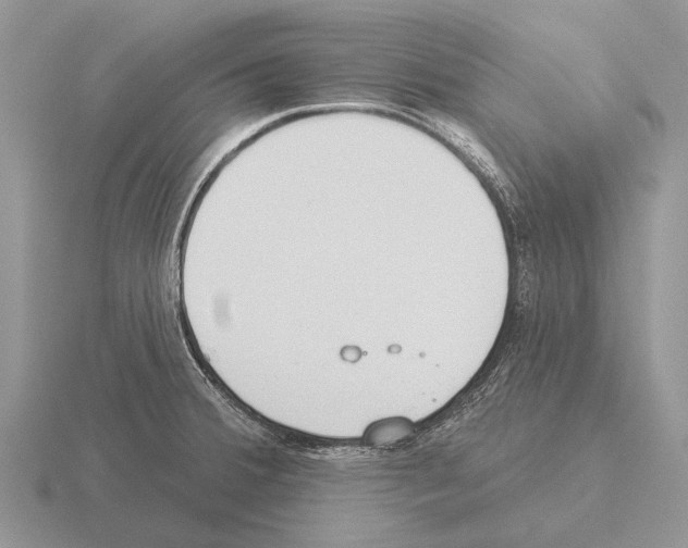 X0000115431380200912161425