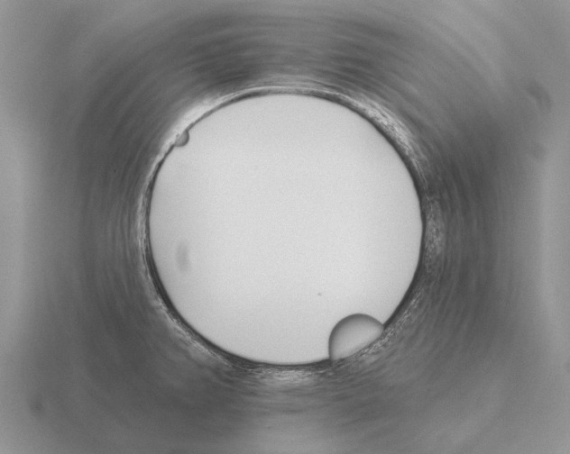 X0000115431382200912161425