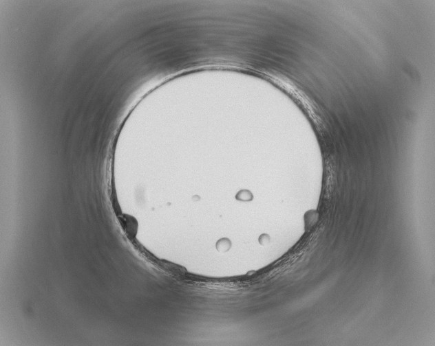 X0000115431383200912161425