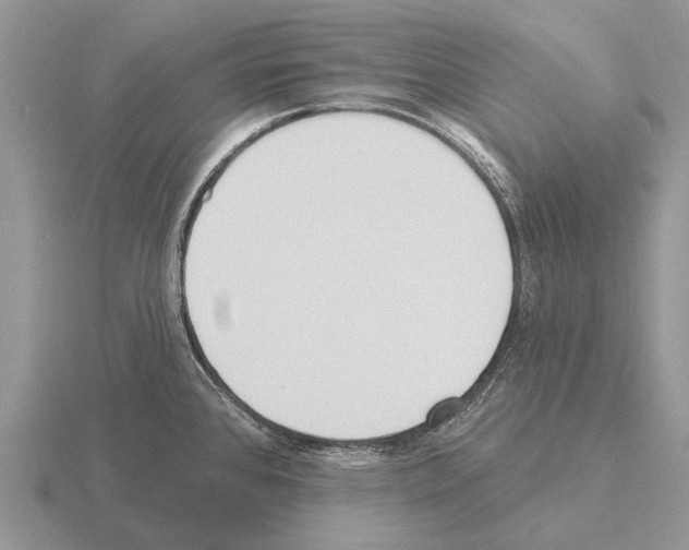 X0000115431384200912161425