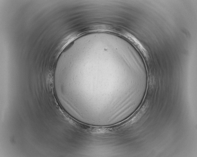 X0000115431385200912161425