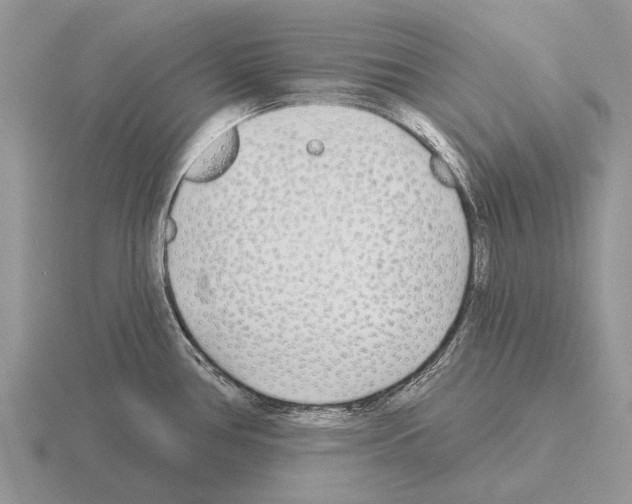 X0000115431386200912161425