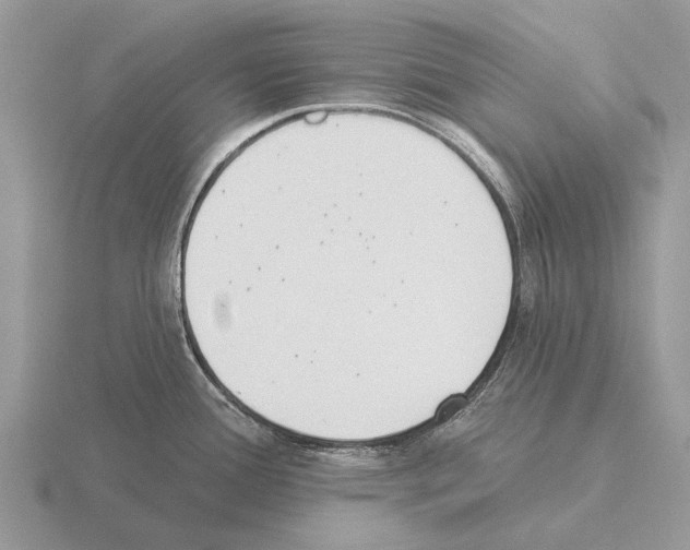 X0000115431388200912161425