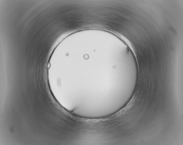 X0000115431389200912161425