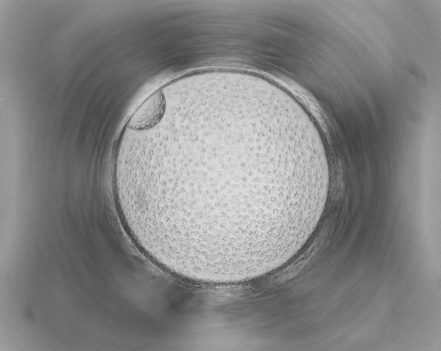 X0000115431390200912161425