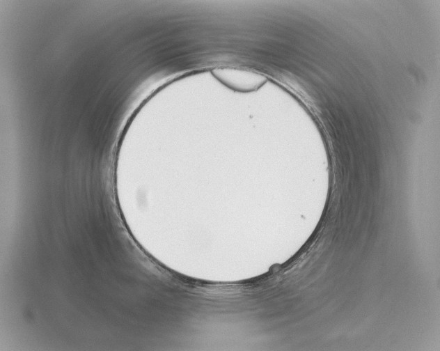 X0000115431392200912161425