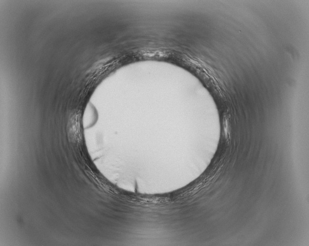 X0000115431396200912161424