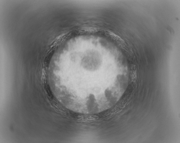 X0000115431397200912161424