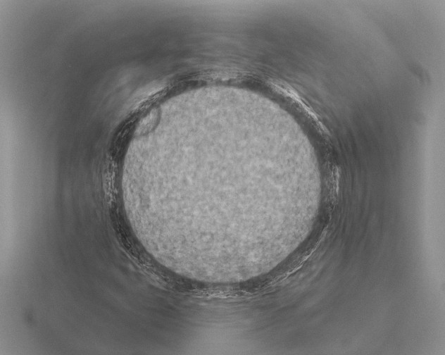 X0000115431399200912161424