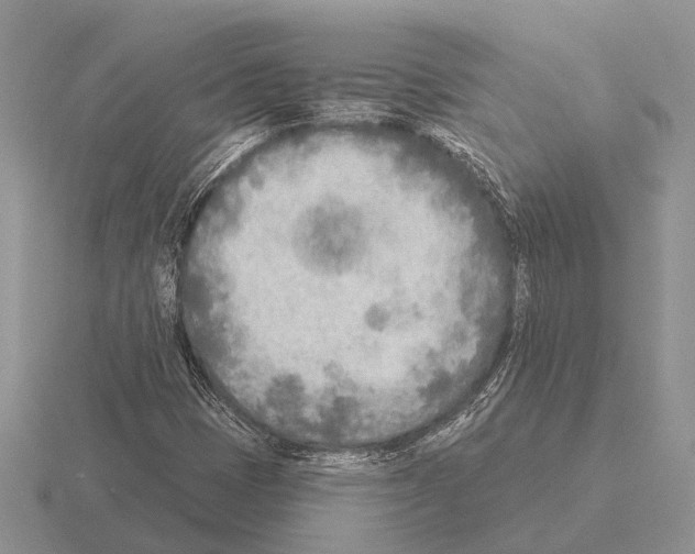 X0000115431401200912161425