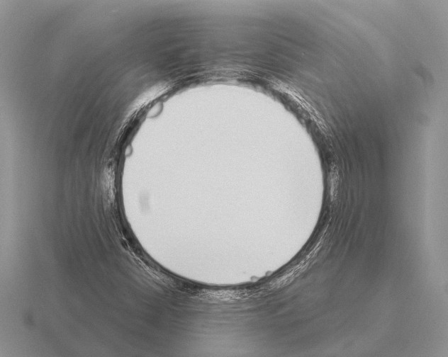 X0000115431402200912161425