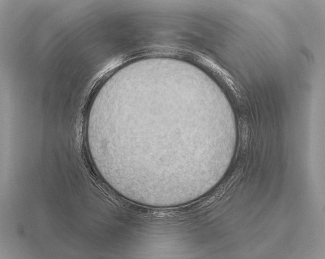 X0000115431411200912161425