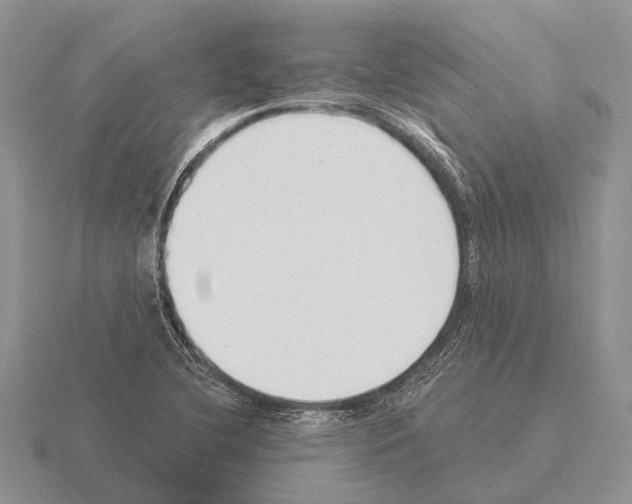 X0000115431412200912161425