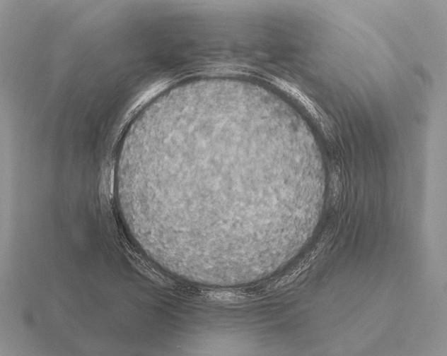 X0000115431413200912161425