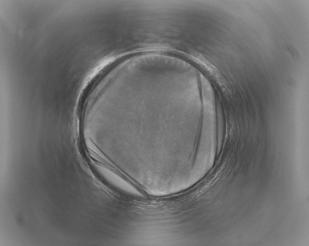 X0000115431414200912161425