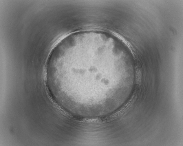 X0000115431415200912161425