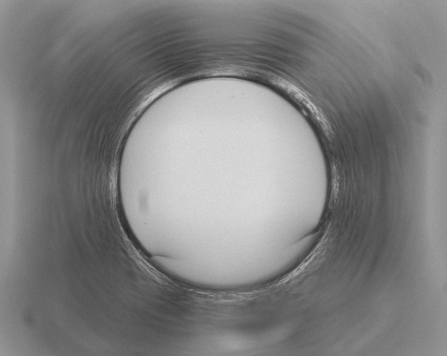 X0000115431417200912161425