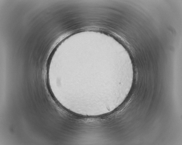 X0000115431418200912161425