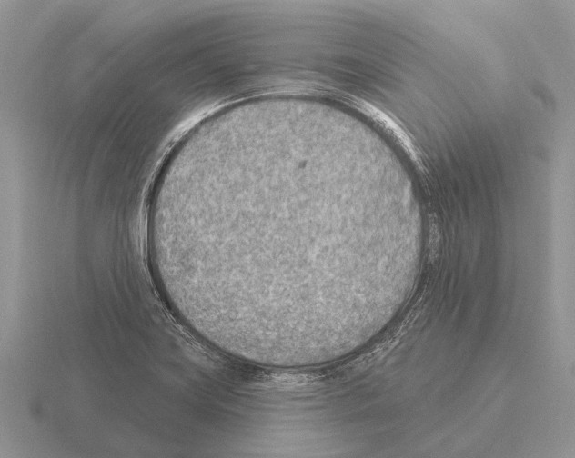 X0000115431419200912161425