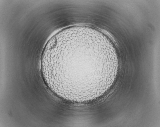 X0000115431420200912161425