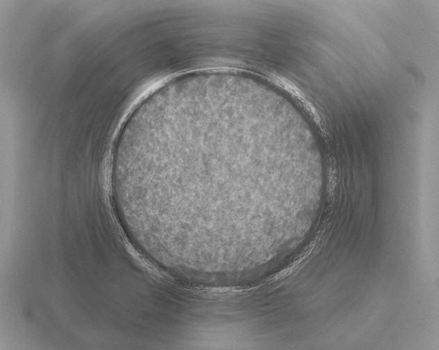 X0000115431421200912161425