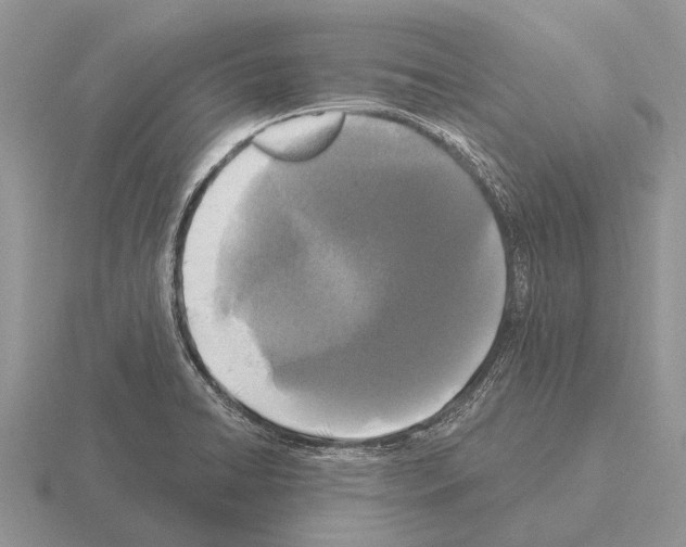 X0000115431422200912161425