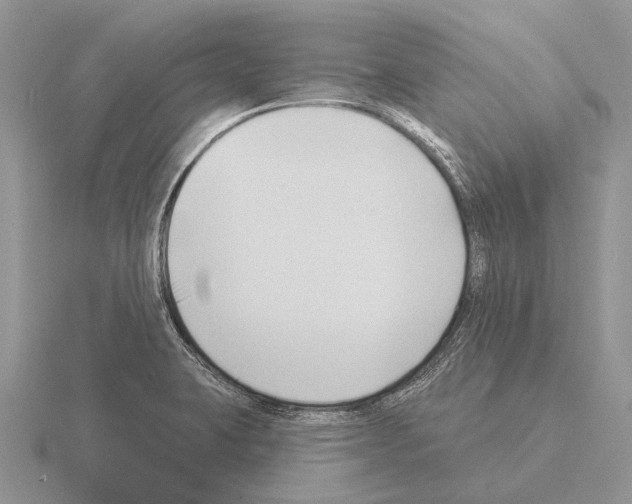 X0000115431423200912161425