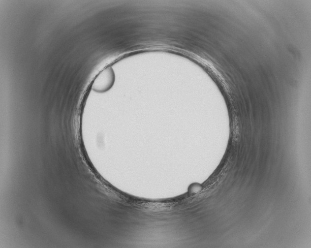 X0000115431424200912161425