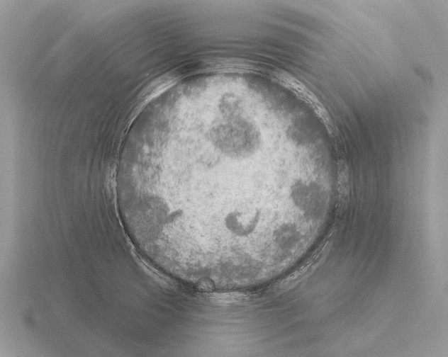 X0000115431425200912161425