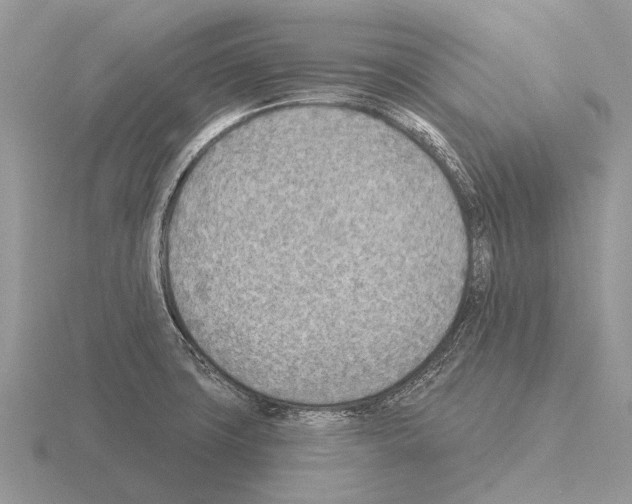 X0000115431427200912161425