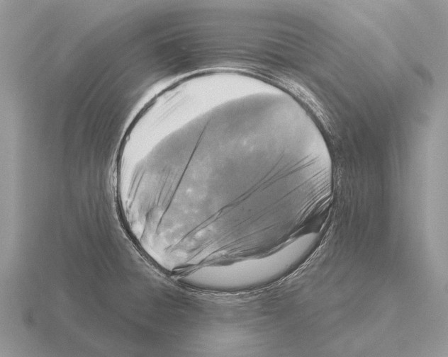 X0000115431428200912161425