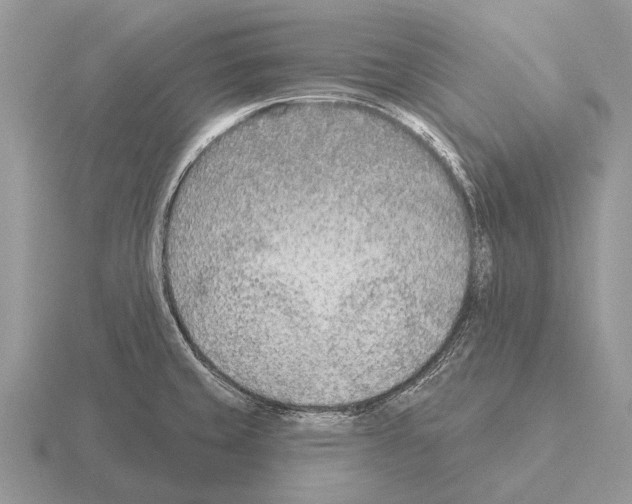 X0000115431429200912161425