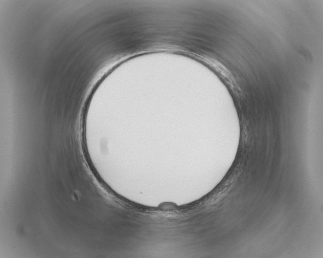 X0000115431430200912161425