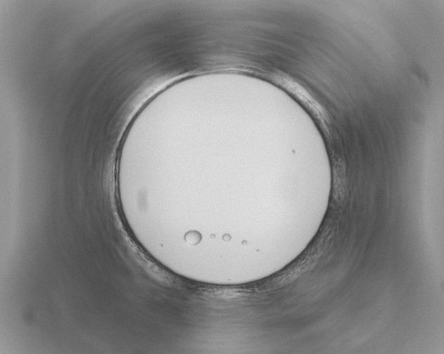 X0000115431431200912161425