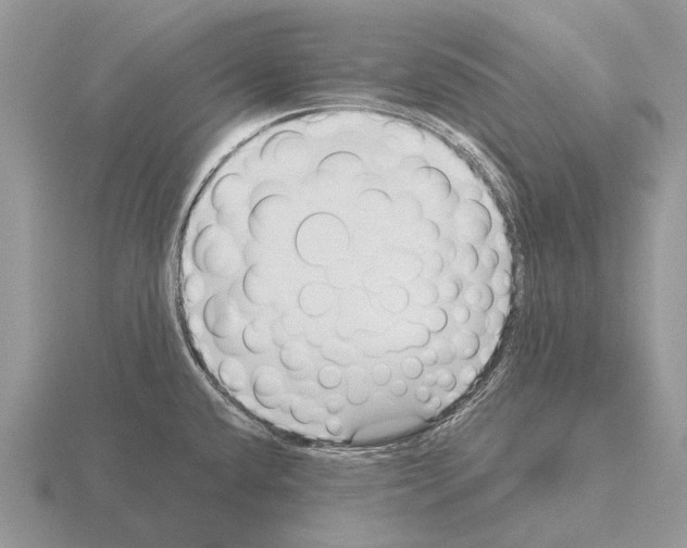 X0000115431432200912161425