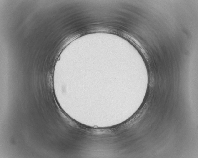 X0000115431433200912161425