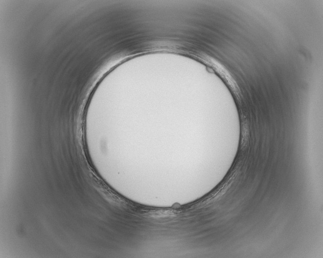 X0000115431435200912161425