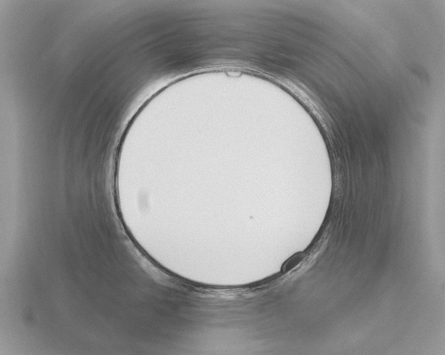 X0000115431438200912161425