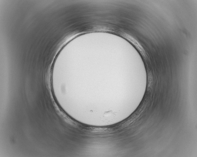 X0000115431439200912161425